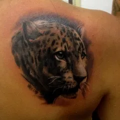 Leopard tatuaj - ceea ce înseamnă schițe tatuaj și fotografii