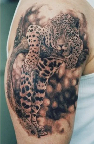 Leopard tatuaj - ceea ce înseamnă schițe tatuaj și fotografii