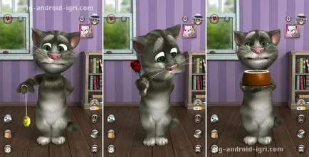 TalkingTom pisica 2 - pisica este sociabil