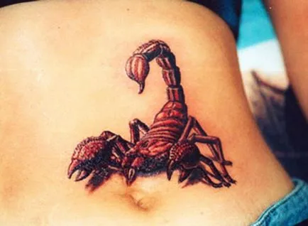 Scorpion tatuaj care înseamnă fotografii și schițe ale unui tatuaj scorpion