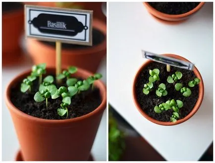 Tablete pentru plante cu propriile lor mâini cum să facă film foto