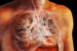 Boala Tuberculoza cum să trateze și cum să evite boala, prevenirea bacteriilor tuberculoza