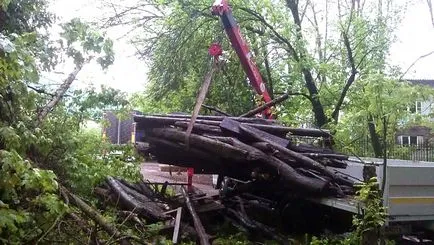 Tisztítás terület, takarítás a földet, távolítsa ágak, tisztítsa meg a területet a törmelék, tisztítsa meg a területet