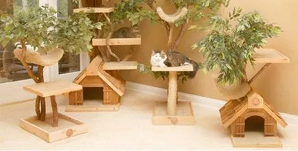 Casa uimitoare pentru pisici