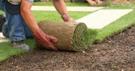 Полагане трева - ландшафтно проектиране свои ръце
