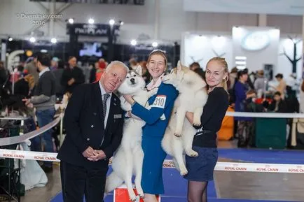 Ukrajna a run-ig euro kutyakiállítás 2017