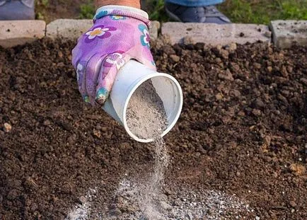 Fertilizator pentru cultura cartofilor pansament mineral