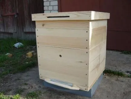 Méhkas Dadant hogyan kell egy terv a méhek saját kezűleg