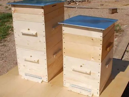 Méhkas Dadant hogyan kell egy terv a méhek saját kezűleg