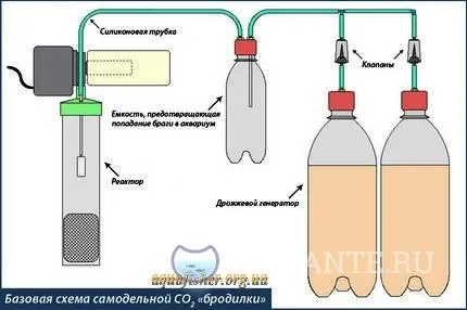 Монтаж на CO2 в аквариума със собствените си ръце