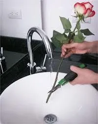 за грижа за отрязаните рози