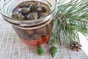 Jam fenyőtoboz, hogyan kell főzni rendesen, néhány recept dzsemek fenyőtoboz