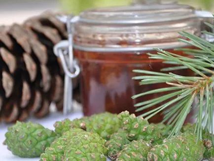 Jam fenyőtoboz, hogyan kell főzni rendesen, néhány recept dzsemek fenyőtoboz