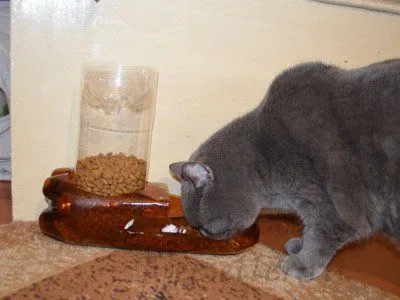 Устройство котка от пластмасова бутилка