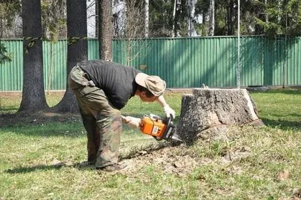 Dezrădăcinarea cioturi pe un teren de metode, chimice, excavatoare mecanice, cu mâinile lor ca