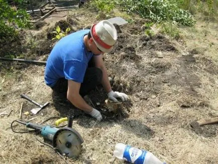 Dezrădăcinarea cioturi pe un teren de metode, chimice, excavatoare mecanice, cu mâinile lor ca