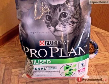 Planul pro Cat alimente sterilizate - «pisici sterilizate dieta necesită o atenție specială!