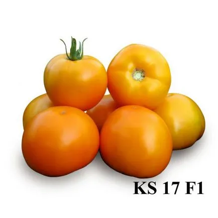 „Semințe China“ Compania demistifica inadecvarea de tomate galbene pentru transport, semințe Kitano