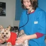 Clinica veterinară în centrul Ivanovo - suna veterinarul la domiciliu, toate clinica veterinara de la Moscova