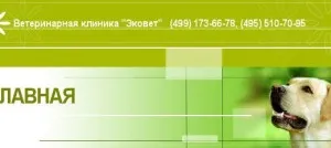 Vetklinike ekovet Graivoronovsky на улицата - обадете се на ветеринар у дома, всичко ветеринарната клиника в Москва