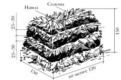 Cultivarea ciupercilor în seră, cu mâinile lor