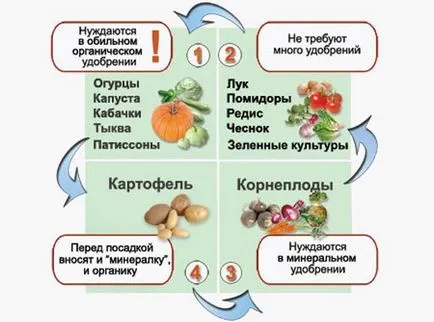 Cultivarea legumelor în sere reguli de bază - viața mea