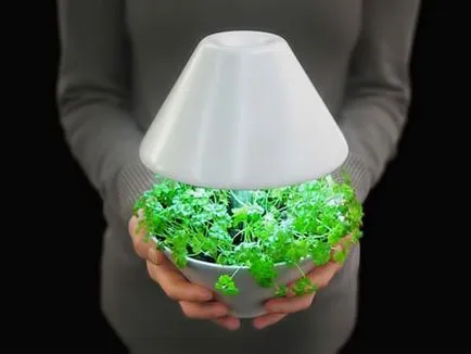 Cultivarea plantelor în lumină artificială