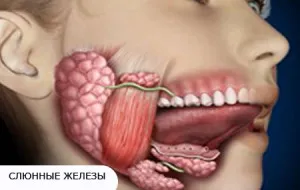 Inflamarea simptome ale glandelor salivare, tratamentul sialadenită la domiciliu