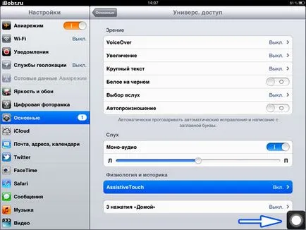 Всички краища на ябълка IPAD екран