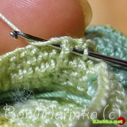 Плетено зеле (майсторски клас) - всичко за плетене на една кука