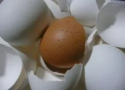 Яйца съгласно тор