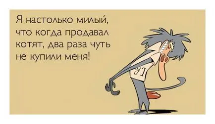 Аз съм толкова сладък, че при продажбата на котенца, два пъти почти ми купи!