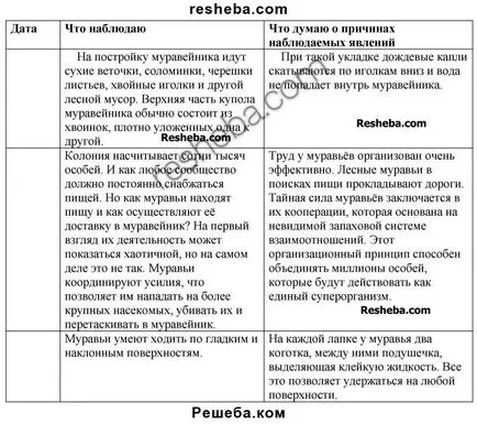 Цели за лятото