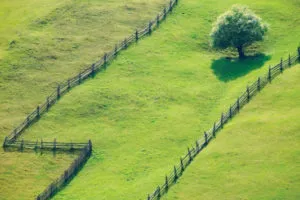 Land дял - как да се украсяват, как да се разграничи от общата споделена собственост