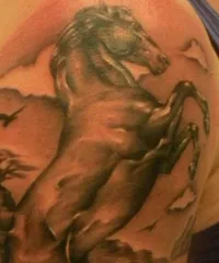 Înțeles tatuaje „cal“