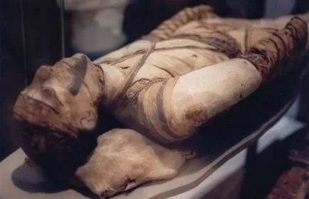 25 érdekes és kevéssé ismert tényeket múmiák