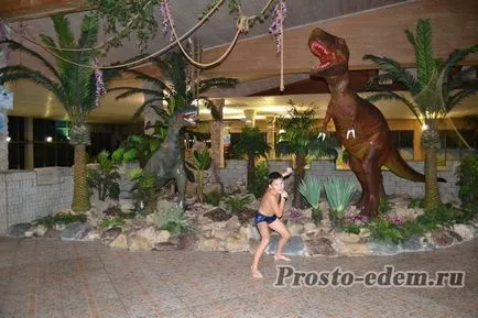 Baryonyx parc acvatic din Kazan - analiza mea, fotografii si preturi, doar