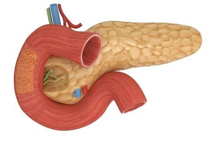 schema de pancreatită SDA și caracteristici ale medicamentului