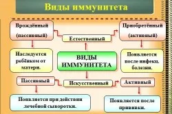 Balsam de imunitate înseamnă a consolida mituri de sanatate balsamuri (video)