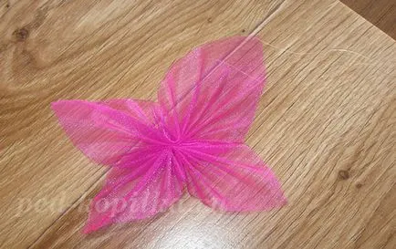 Butterfly Organza