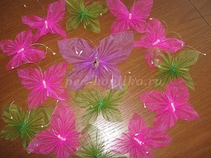 Butterfly Organza