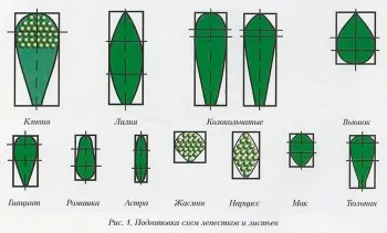 Bead floristika (partea 2)