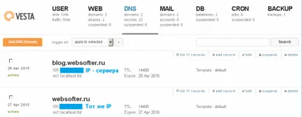 Blog websofter, hogyan kell csatolni a domaint az ip VPS VPS és ns - Logger Server