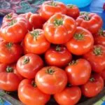 Tomatele pulverizare pentru îngrășăminte revizuire ovar