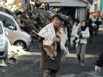 Négylábú „szeizmográf”, mint a kutyák megjósolni földrengések