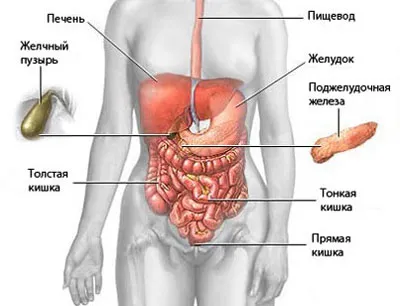 Ez azt mutatja, hasi ultrahang dekódolási eredmények, az arány a szervi