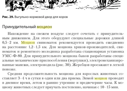 Каква е физическо упражнение, което означава да се направи упражнение