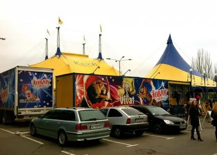 Circus Киев Кобза