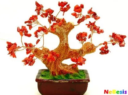 Money Tree feng shui