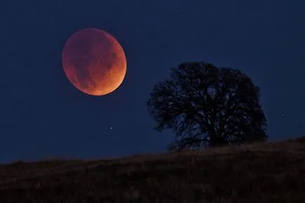 parcele eficiente la lună plină